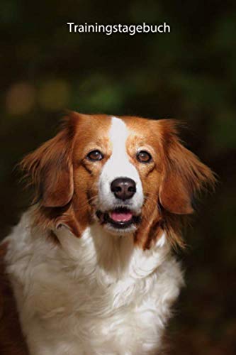 Trainingstagebuch: für Deinen Kooikerhondje - mit Vorlagen schnell und einfach das Training dokumentieren (Kooikerhondje - alle Bücher: Trainingstagebuch, Krankenakte und Welpentagebuch, Band 1) von Independently published