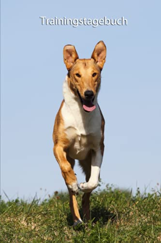 Trainingstagebuch: für Deinen Kurzhaarcollie - mit Vorlagen schnell und übersichtlich das Hundetraining dokumentieren