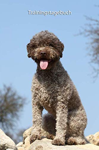 Trainingstagebuch: für Deinen Lagotto Romagnolo - mit Vorlagen schnell und einfach das Training dokumentieren (Lagotto - alle Bücher: Trainingstagebuch, Krankenakte und Welpentagebuch, Band 1)