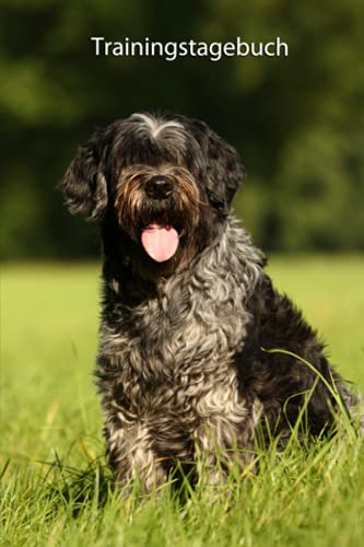 Trainingstagebuch: für Deinen Schapendoes - mit Vorlagen schnell und einfach das Hundetraining dokumentieren (Schapendoes - alle Bücher: Trainingstagebuch, Krankenakte und Welpentagebuch, Band 1) von Independently published