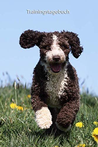 Trainingstagebuch: für Deinen Spanischen Wasserhund - mit Vorlagen schnell und einfach das Training dokumentieren (Spanischer Wasserhund - alle ... Krankenakte und Welpentagebuch, Band 1) Trainingstagebuch: für Deinen Spanischen Wasserhund - mit Vorlagen schnell und einfach das Training dokumentieren (Spanischer Wasserhund - alle ... Krankenakte und Welpentagebuch, Band 1) von Independently published