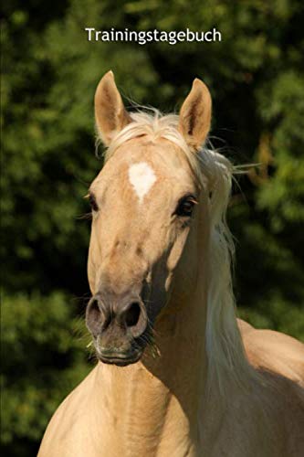 Trainingstagebuch: für ein komplettes Jahr mit Deinem American Quarter Horse (datumsunabhängig) von Independently published