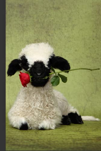 Valais Blacknose Sheep Notebook: Notebook 6x9 with 120 pages squared paper Valais Blacknose Sheep Notebook: Notebook 6x9 with 120 pages squared paper von Independently published