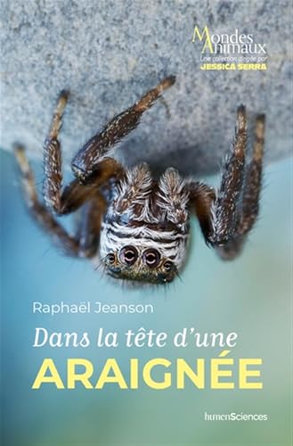 Dans la tête d'une araignée