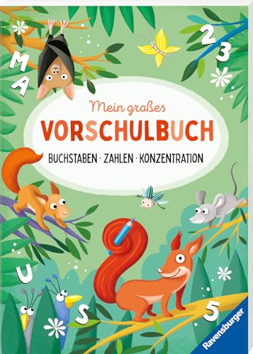 Mein großes Vorschulbuch: Buchstaben Zahlen Konzentration