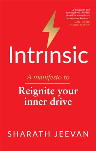 Intrinsic: A manifesto to reignite your inner drive