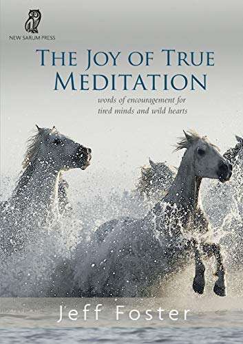 The Joy of True Meditation: Words of Encouragement for Tired Minds and Wild Hearts von Non-Duality Press
