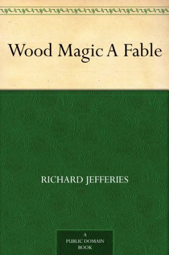 Wood Magic Wood Magic von Anson Street Press