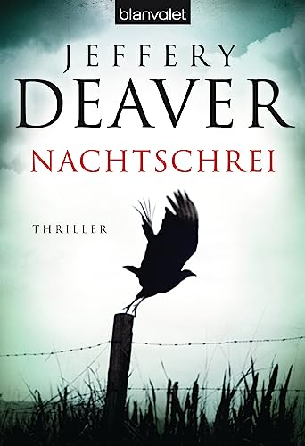 Nachtschrei: Thriller von Blanvalet