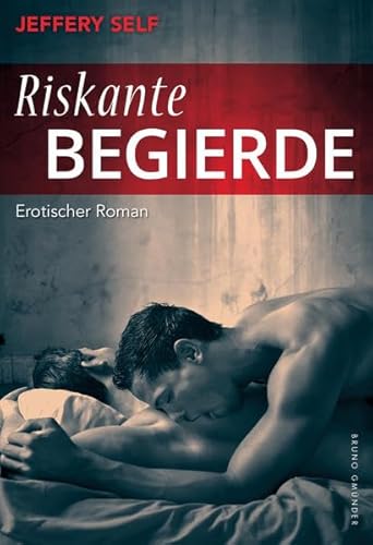 Riskante Begierde: Erotischer Roman