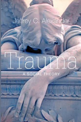 Trauma: A Social Theory von Polity