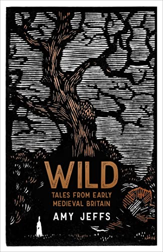 Wild: Tales from Early Medieval Britain from the Bestselling author of Storyland von riverrun