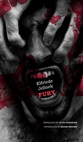 Fury (The German List) von Seagull Books London Ltd