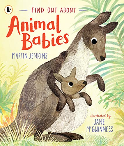 Find Out About ... Animal Babies von WALKER BOOKS