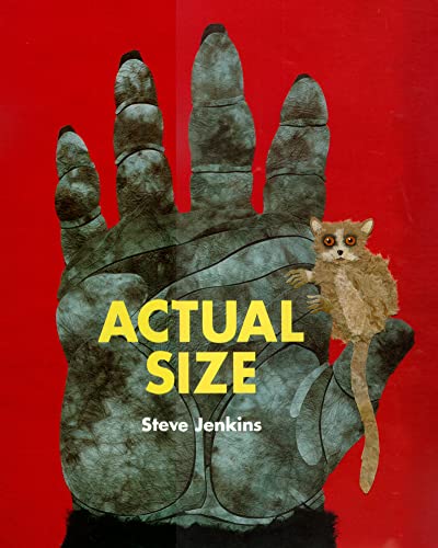 Actual Size von Clarion