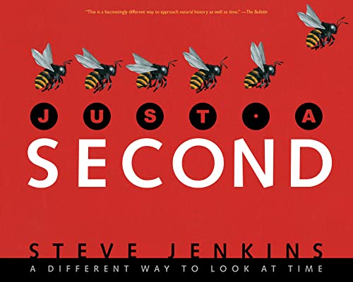 Just a Second: A Different Way to Look at Time