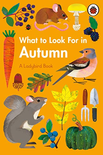 What to Look For in Autumn (A Ladybird Book)