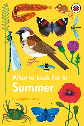 What to Look For in Summer (A Ladybird Book) von Ladybird