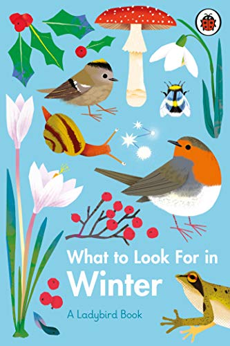 What to Look For in Winter (A Ladybird Book) von Penguin Books Ltd (UK)