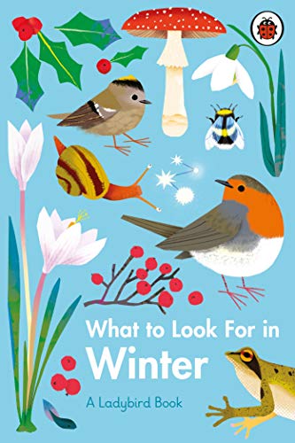 What to Look For in Winter (A Ladybird Book) von Ladybird