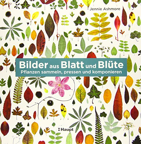 Bilder aus Blatt und Blüte: Pflanzen sammeln, pressen und komponieren von Haupt Verlag AG