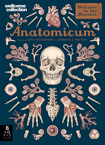 Anatomicum von BONNIER