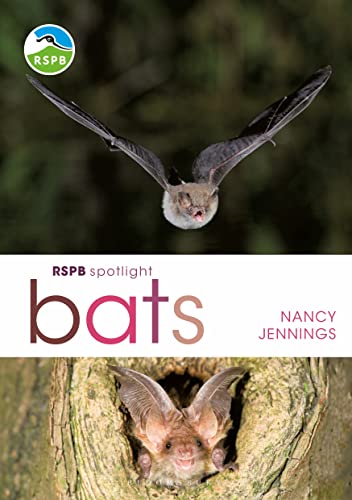 RSPB Spotlight Bats von Bloomsbury Wildlife