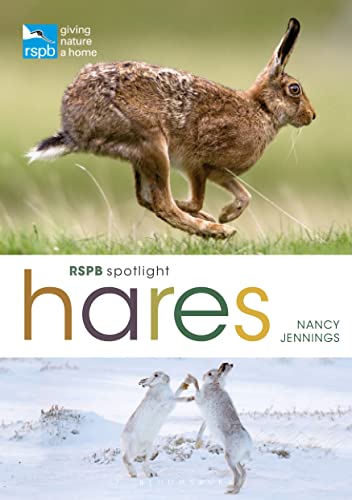 RSPB Spotlight Hares von Bloomsbury Wildlife
