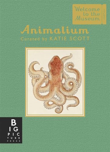 Animalium (Mini Gift Edition) von Templar Publishing