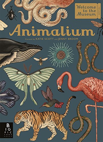 Animalium von BONNIER