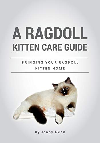 A Ragdoll Kitten Care Guide: Bringing Your Ragdoll Kitten Home von CREATESPACE