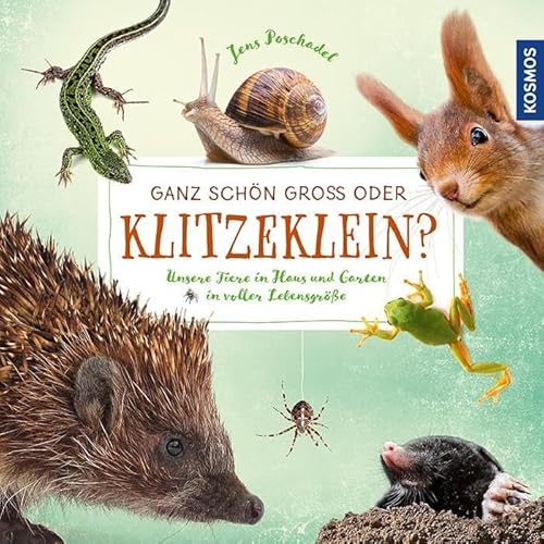 Ganz schön groß oder klitzeklein?: Unsere Tiere in Haus und Garten in voller Lebensgröße