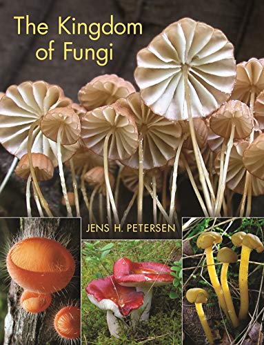 The Kingdom of Fungi von Princeton University Press