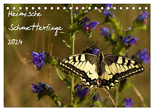 Heimische Schmetterlinge (Tischkalender 2024 DIN A5 quer), CALVENDO Monatskalender von CALVENDO