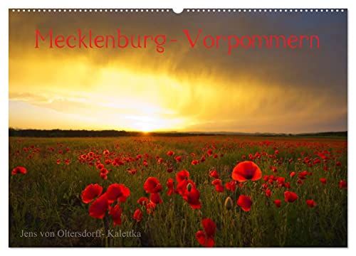 Mecklenburg - Vorpommern (Wandkalender 2024 DIN A2 quer), CALVENDO Monatskalender