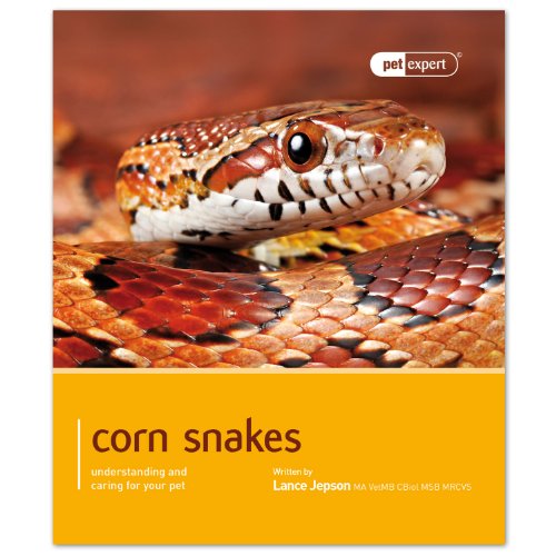Corn Snake: Understanding and Caring for Your Pet (Pet Expert) von Magnet & Steel