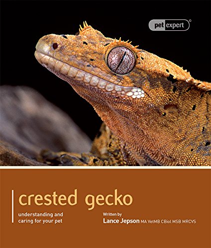 Crested Gecko - Pet Expert: Understanding and Caring for Your Pet