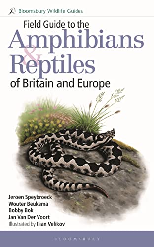 Field Guide to the Amphibians and Reptiles of Britain and Europe von Bloomsbury Wildlife