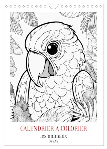Calendrier à colorier (Wandkalender 2025 DIN A4 hoch), CALVENDO Monatskalender von CALVENDO