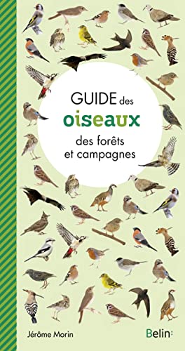 Guide des oiseaux des forets et campagnes von Belin