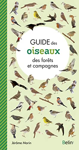 Guide des oiseaux des forets et campagnes