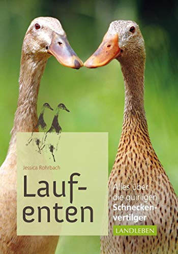 Laufenten: Alles über die quirligen Schneckenfresser