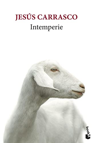 Intemperie: Toda una vida por delante, no la malgastes odiando (Novela)