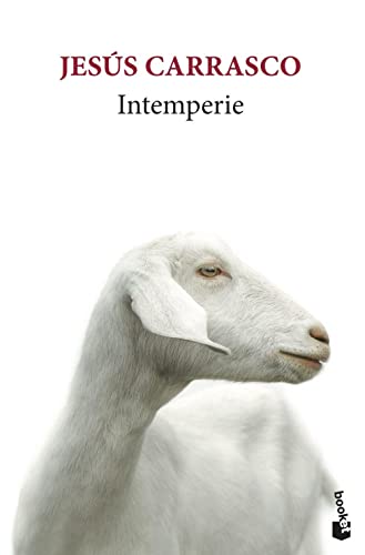 Intemperie: Toda una vida por delante, no la malgastes odiando (Novela) von Booket