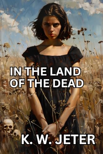 In the Land of the Dead von Independently published