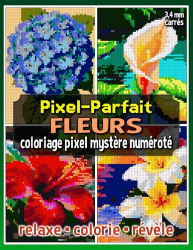 Pixel-Parfait : Fleurs – Coloriage Pixel Mystère Numéroté: Livre de Coloriage Pixel pour Adultes et Ados (Pixel Art Coloriage) von Independently published