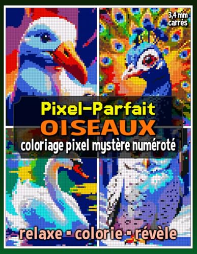 Pixel-Parfait : Oiseaux – Coloriage Pixel Mystère Numéroté: Livre de Coloriage Pixel pour Adultes et Ados (Pixel Art Coloriage) von Independently published
