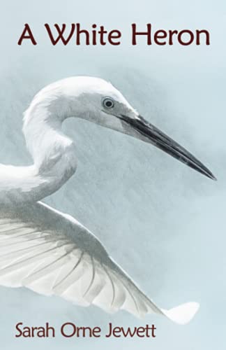 A White Heron