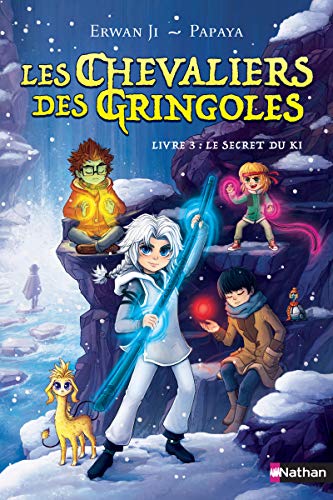 Les Chevaliers Gringoles - tome 3 Le secret du Ki (3) von NATHAN