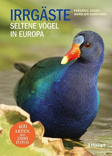 Irrgäste: Seltene Vögel in Europa von Haupt Verlag AG